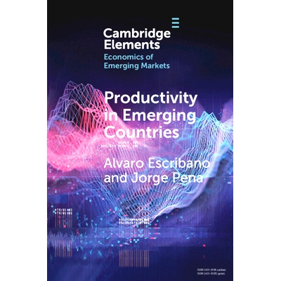 预订 Productivity in Emerging Countries: Methodology and Firm-Level Analysis based on International Enterprise Business