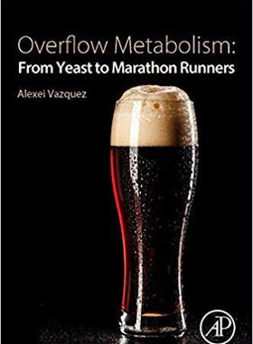 【预售】Overflow Metabolism