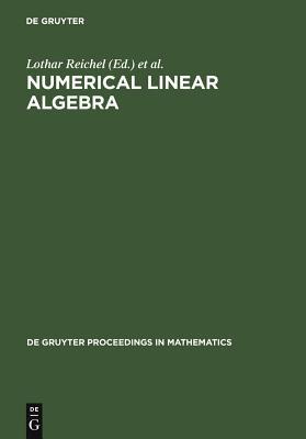 【预订】Numerical Linear Algebra 9783110137842