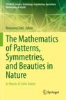 The 预订 Patterns Mathematics Symmetries Beauties Nature and