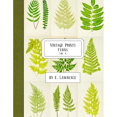 预订 Vintage Prints: Ferns: Vol. 4: 9781987654417