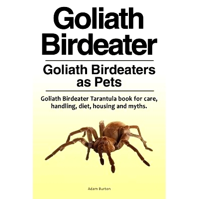 预订 Goliath Birdeater . Goliath Birdeaters as Pets. Goliath Birdeater Tarantula book for care, handling, diet, housing