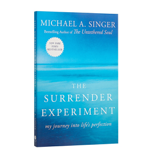 Into Michael The A.Singer Life Perfection Experiment Surrender Journey 现货英文原版 臣服实验 清醒地活作者迈克辛格
