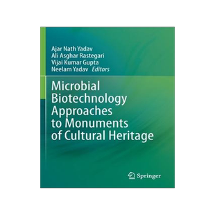 [预订]Microbial Biotechnology Approaches to Monuments of Cultural Heritage 9789811534034