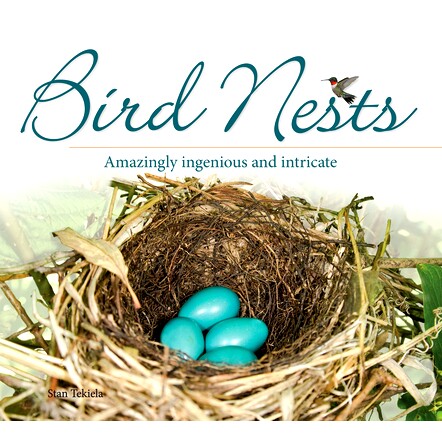 预订 Bird Nests: 9781591934684