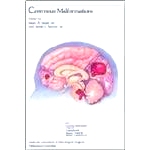 预订 Cavernous Malformations 海绵状血管畸形: 9781879284074