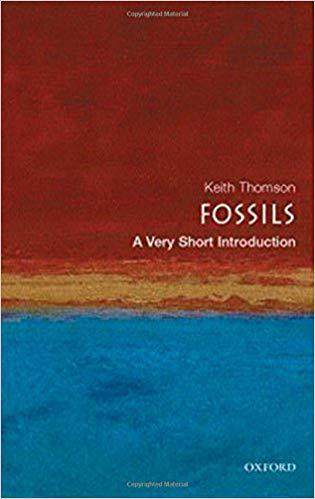 英文原版  牛津通识读本:化石   fossils: a very short introducti