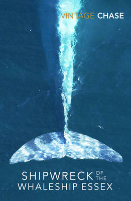 美国库房发货,通常付款后5-8周到货!