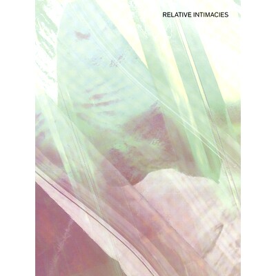 预订 Relative Intimacies 相对亲密: 9783956796258