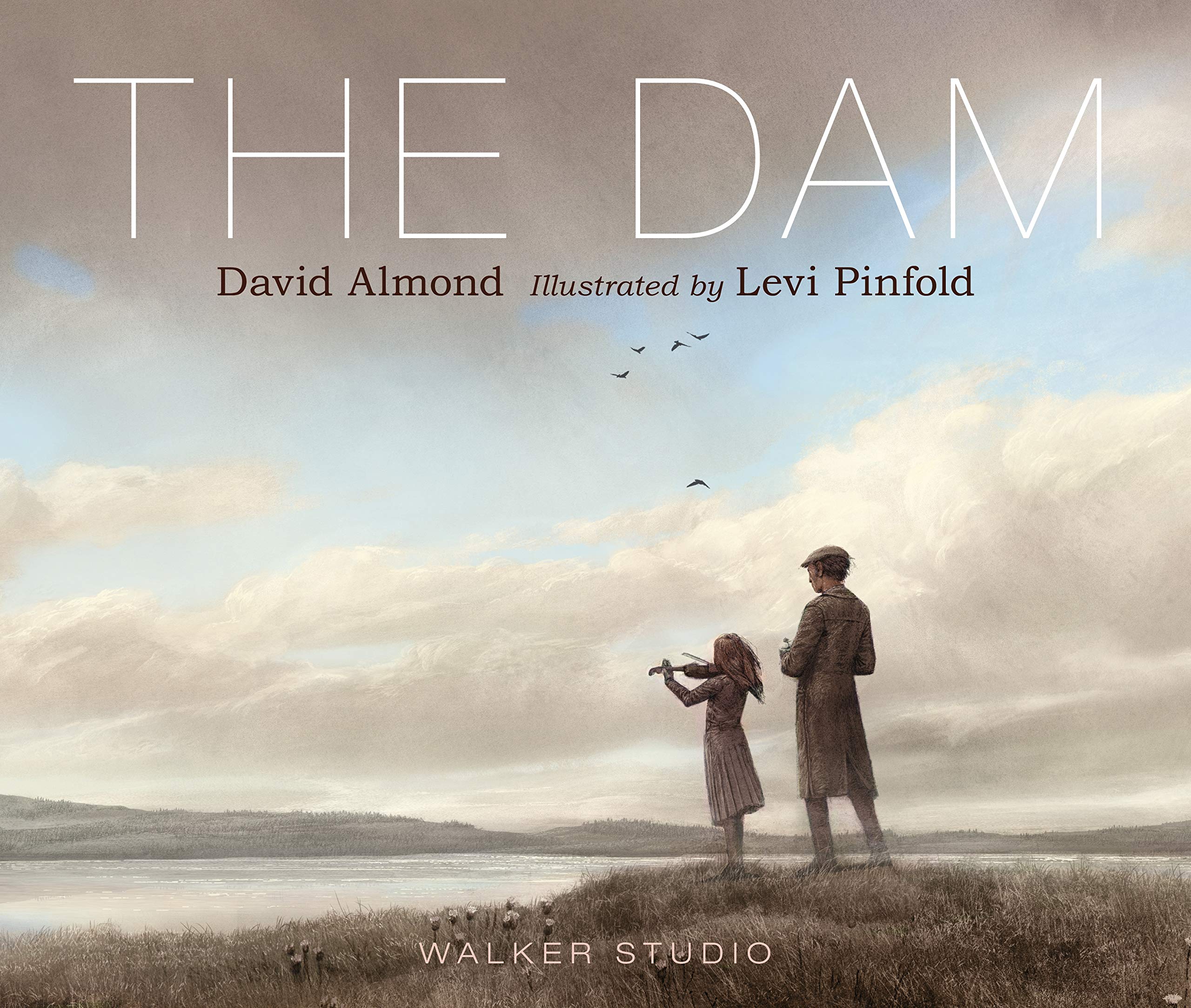 英文原版 堤坝 Levi Pinfold插画绘本 精装 David Almond: The Dam