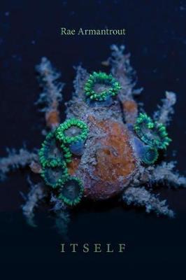 国外库房发货，通常付款后5-8周到货！