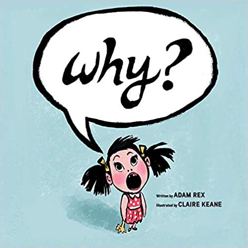 【预售】why?