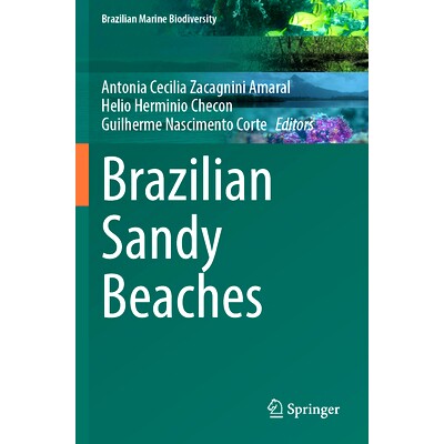 预订 Brazilian Sandy Beaches 巴西沙滩: 9783031307485