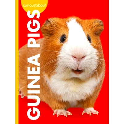 预订 Curious about Guinea Pigs 对豚鼠感到好奇: 9781645493068