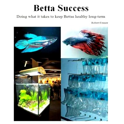 预订 Betta Success: Doing what it takes to keep Bettas healthy long-term: 9781494867812