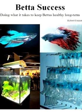 预订 Betta Success: Doing what it takes to keep Bettas healthy long-term: 9781494867812