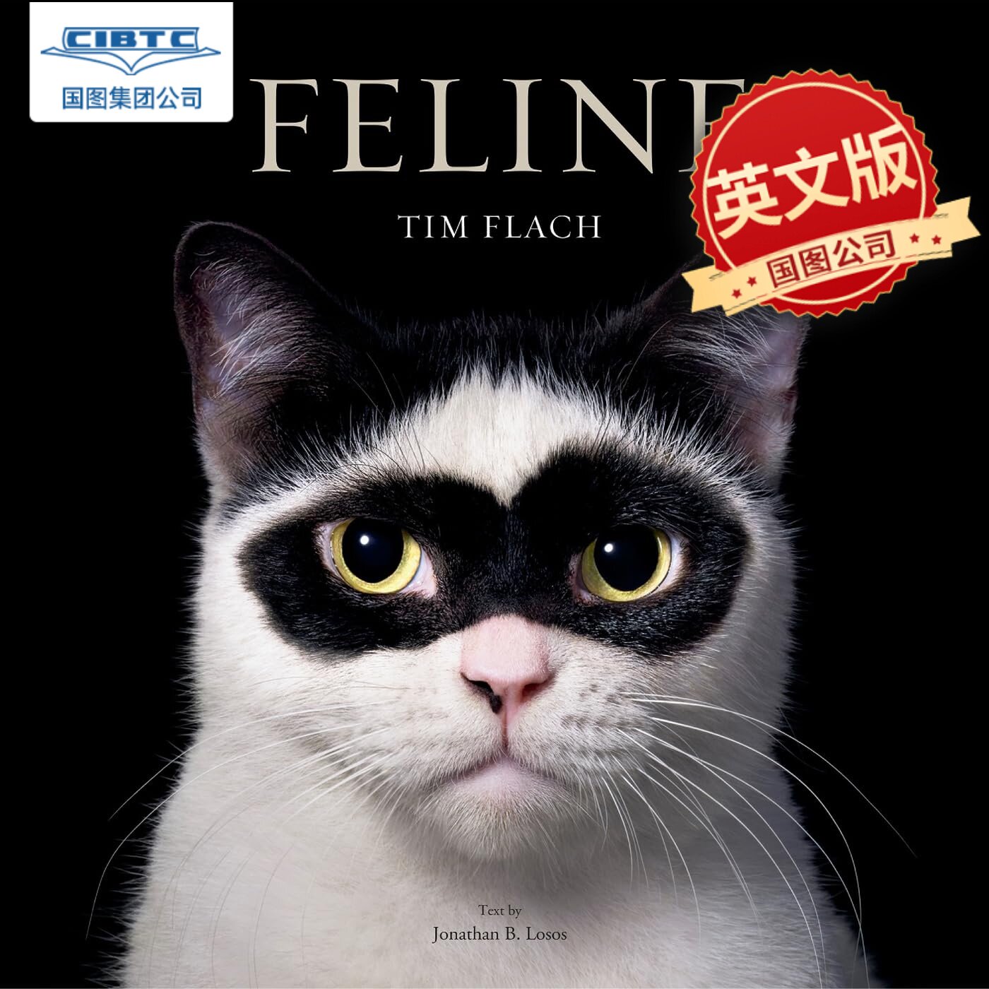 预售 猫之书 猫科动物 摄影集 Tim Flach 当代动物摄影大师 英文原版 蒂姆·弗拉克 天马 圣犬 濒危 Feline: Photographs