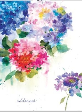 预订 Hydrangeas Large Address Book: 9781441320209