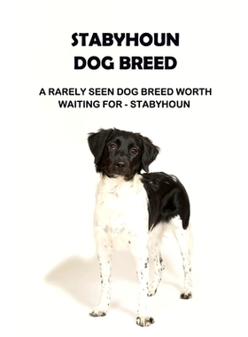 预订 Stabyhoun Dog Breed: A Rarely Seen Dog Breed Worth Waiting for - Stabyhoun: Stabyhoun Dog Breed Information, Photos