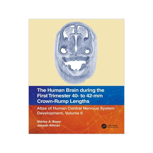 [预订]The Human Brain during the First Trimester 40- to 42-mm Crown-Rump Lengths