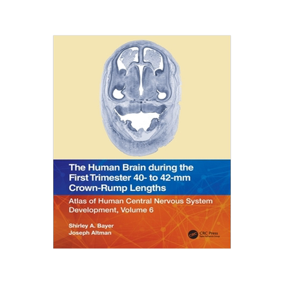 [预订]The Human Brain during the First Trimester 40- to 42-mm Crown-Rump Lengths