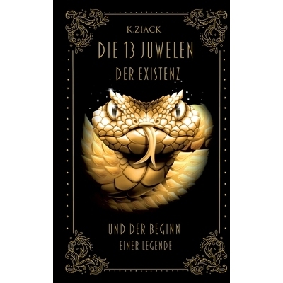 预订 Die 13 Juwelen der Existenz: Und der Beginn einer Legende: 9783769308204