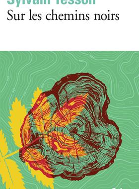 法语原版 走在幽暗的小径上 西尔万·泰松 龚古尔文学奖作者 Sur les chemins noirs Sylvain Tesson