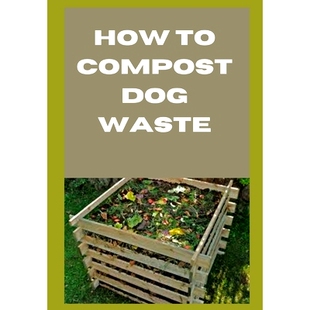 预订 How to Compost Dog Waste: 9798871584590