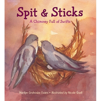 预订 Spit & Sticks: A Chimney Full of Swifts: 9781580895880