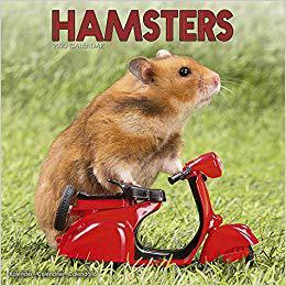 【预售】Hamsters Calendar 2020