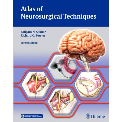 预订 Atlas of Neurosurgical Techniques: Brain 神经外科技术图谱：脑，两卷集，*版: 9781626233881