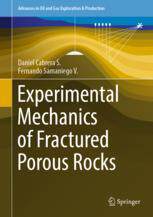 【预订】Experimental Mechanics of Fractured Porous Rocks 9783031177378