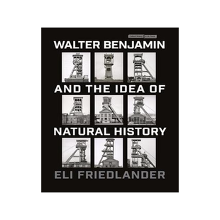 [预订]Walter Benjamin and the Idea of Natural History 9781503637702