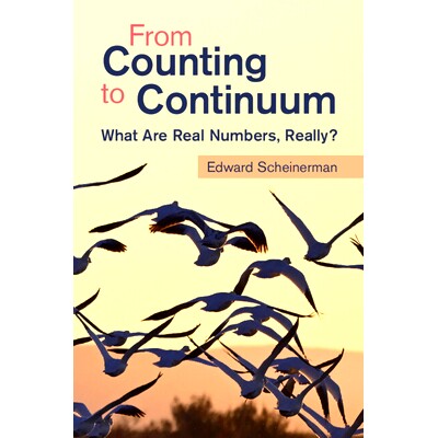 现货 From Counting to Continuum: What Are Real Numbers, Really? 从计数到连续统：什么是实数， 真的吗？: 9781009538671