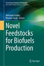 【预订】Novel Feedstocks for Biofuels Production 9789811935817