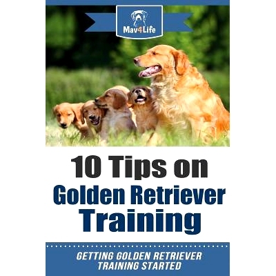 预订 10 Tips on Golden Retriever Training: Getting Golden Retriever Training Started!: 9781984109767
