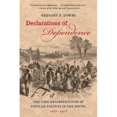 预订 Declarations of Dependence: The Long Reconstruction of Popular Politics in the South, 1861-1908 独立宣言：南方大众