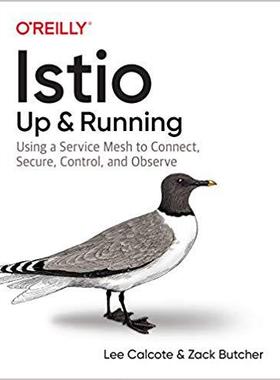 【预售】Istio: Up and Running: Using a Service Mesh to Connect, Secure, Control, and Observe
