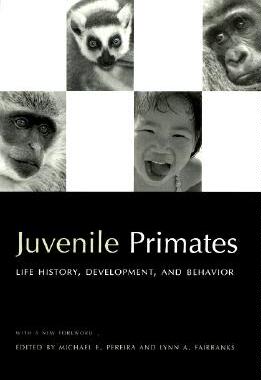 【预售】Juvenile Primates: Life History, Development, and Behavior