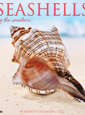 【预订】Seashells 2022 Wall Calendar 9781549219528