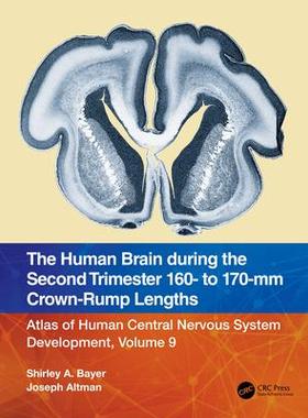 [预订]The Human Brain during the Second Trimester 160– to 170–mm Crown-Rump Lengths 9781032219424