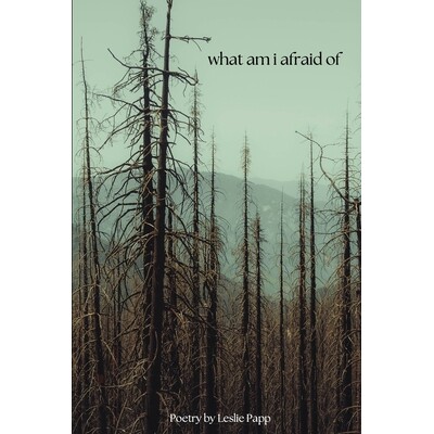 预订 what am i afraid of 9781968226060