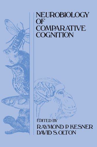 美国库房发货,通常付款后5-8周到货!