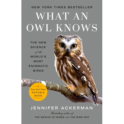预订 What an Owl Knows: The New Science of the World's Most Enigmatic Birds
