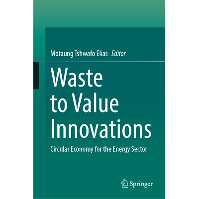 预订 Waste to Value Innovations: Circular Economy for the Energy Sector 变废为宝的创新：能源行业的循环经济: 978981962781