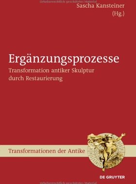 【预订】Ergänzungsprozesse 9783110331820