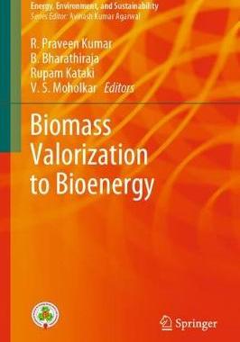 【预订】Biomass Valorization to Bioenergy