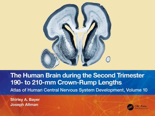 [预订]The Human Brain during the Second Trimester 190– to 210–mm Crown-Rump Lengths 9781032219394