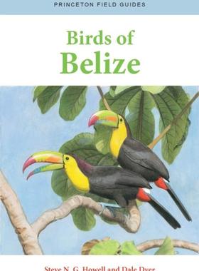 [预订]Birds of Belize 9780691220727