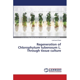 预订 Regeneration of Chlorophytum Tuberosum L: 9783659643750